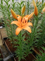 [5118 Esprit DJ No02.JPG]